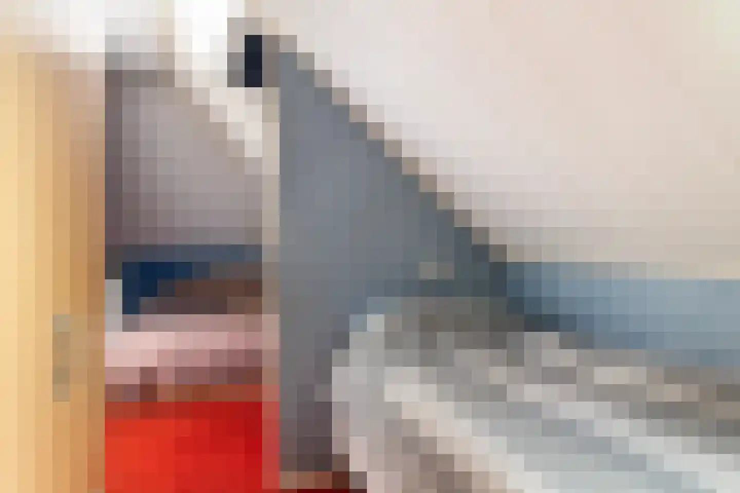 Voor de Blanken 8 Ruinen thumbnail 35