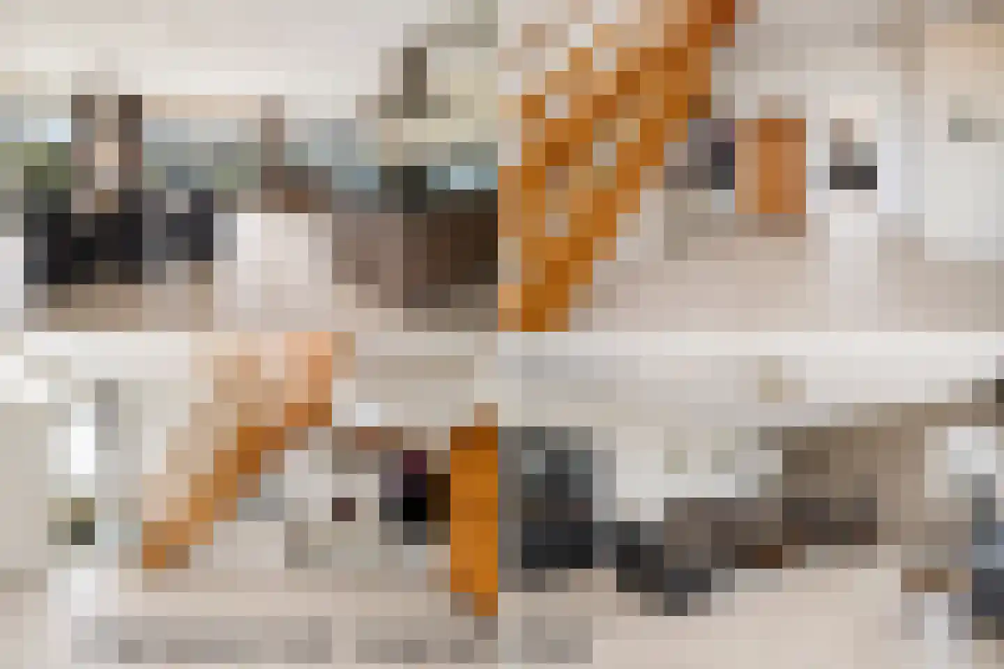 Voor de Blanken 8 Ruinen thumbnail 4