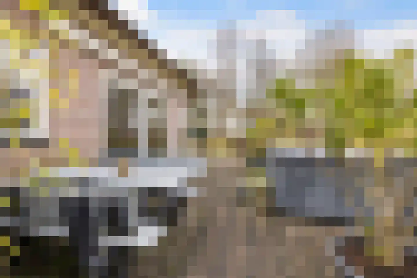 Voor de Blanken 8 Ruinen thumbnail 40