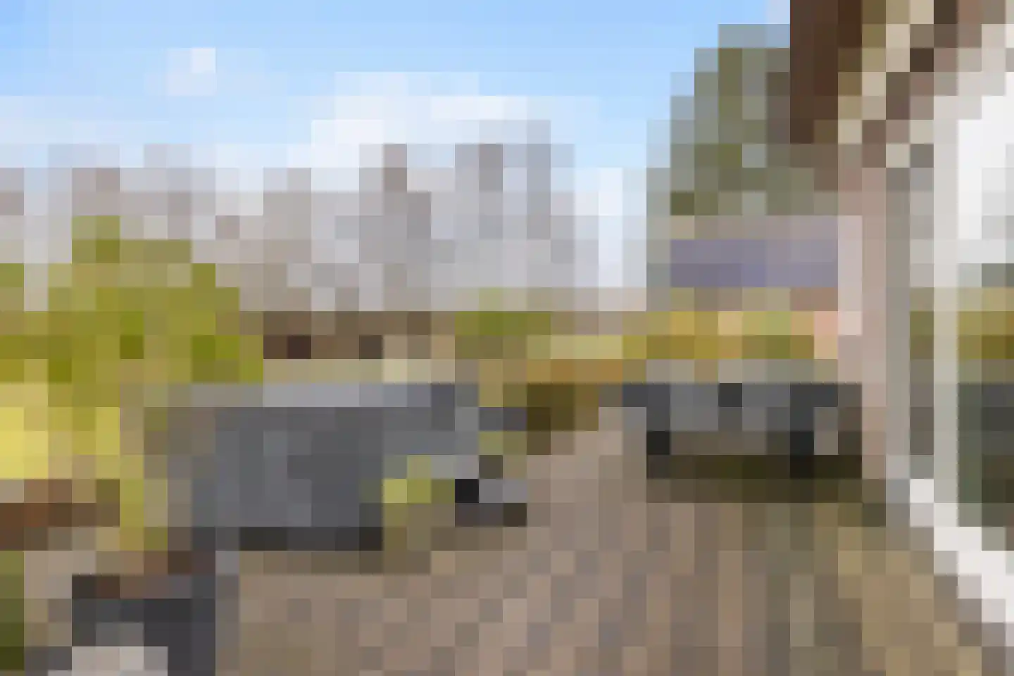 Voor de Blanken 8 Ruinen thumbnail 41