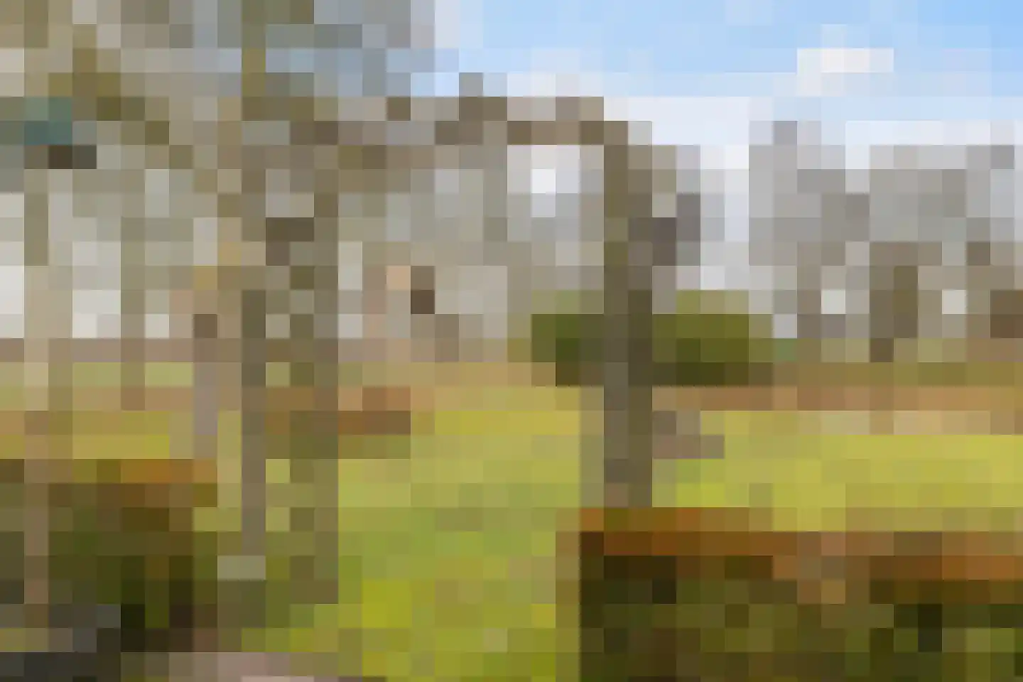 Voor de Blanken 8 Ruinen thumbnail 42