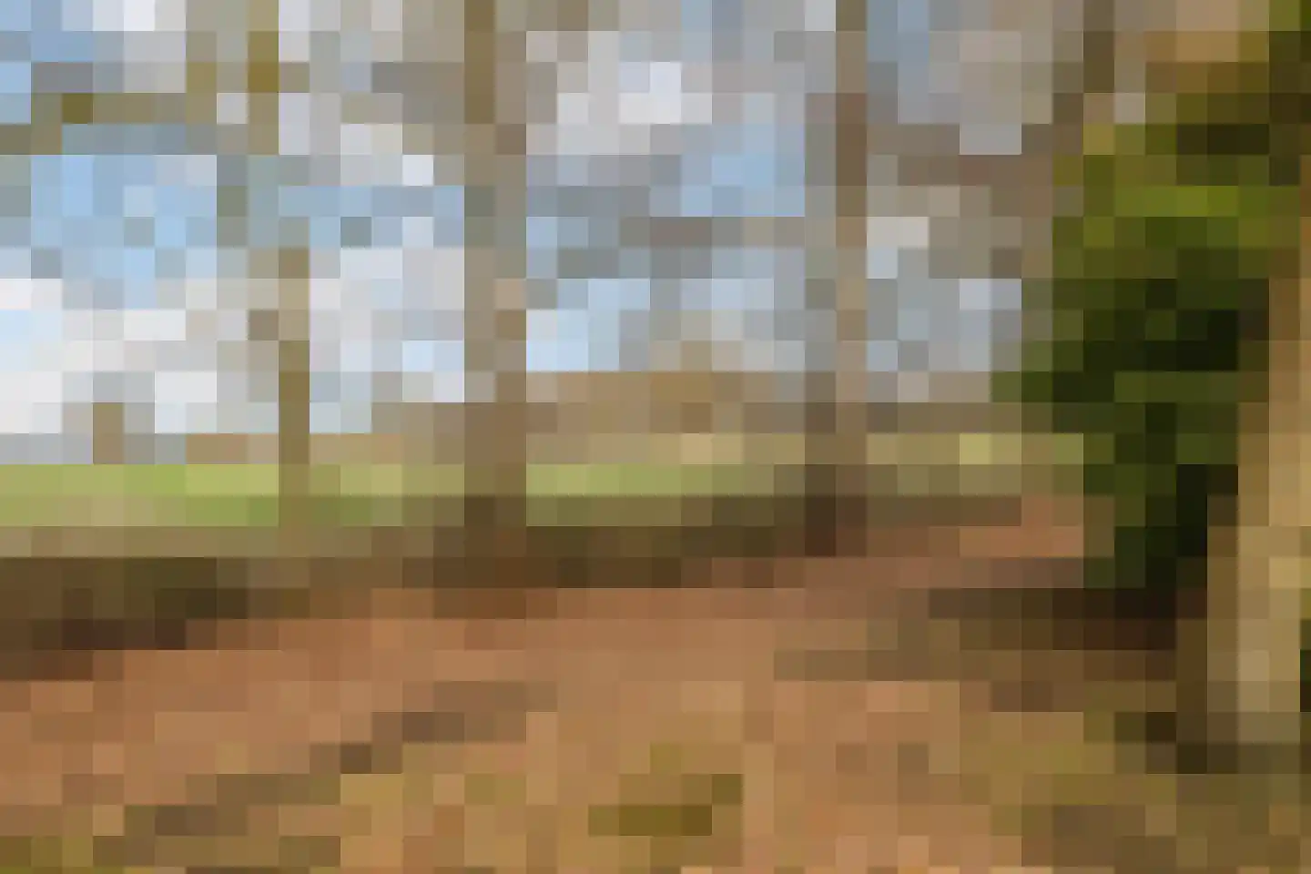 Voor de Blanken 8 Ruinen thumbnail 45