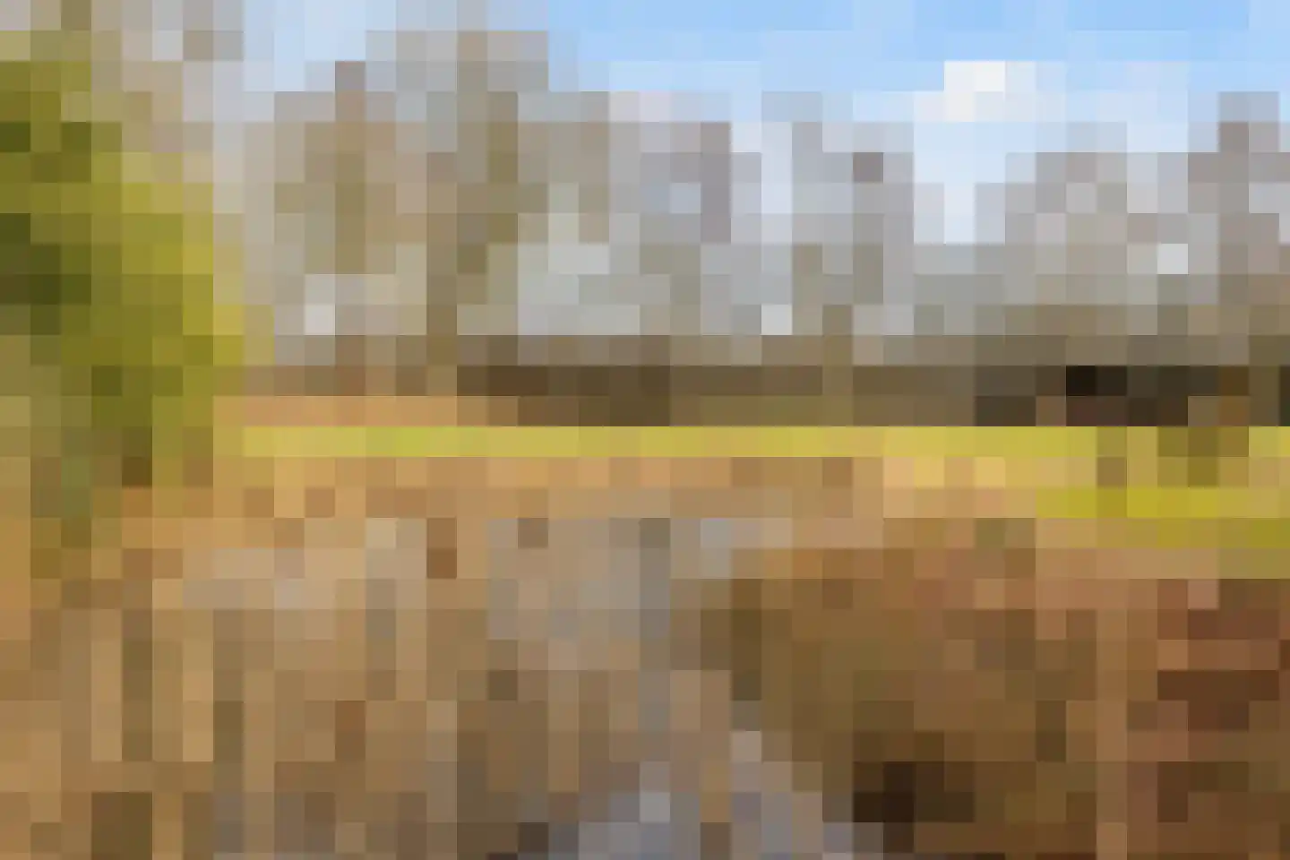 Voor de Blanken 8 Ruinen thumbnail 47