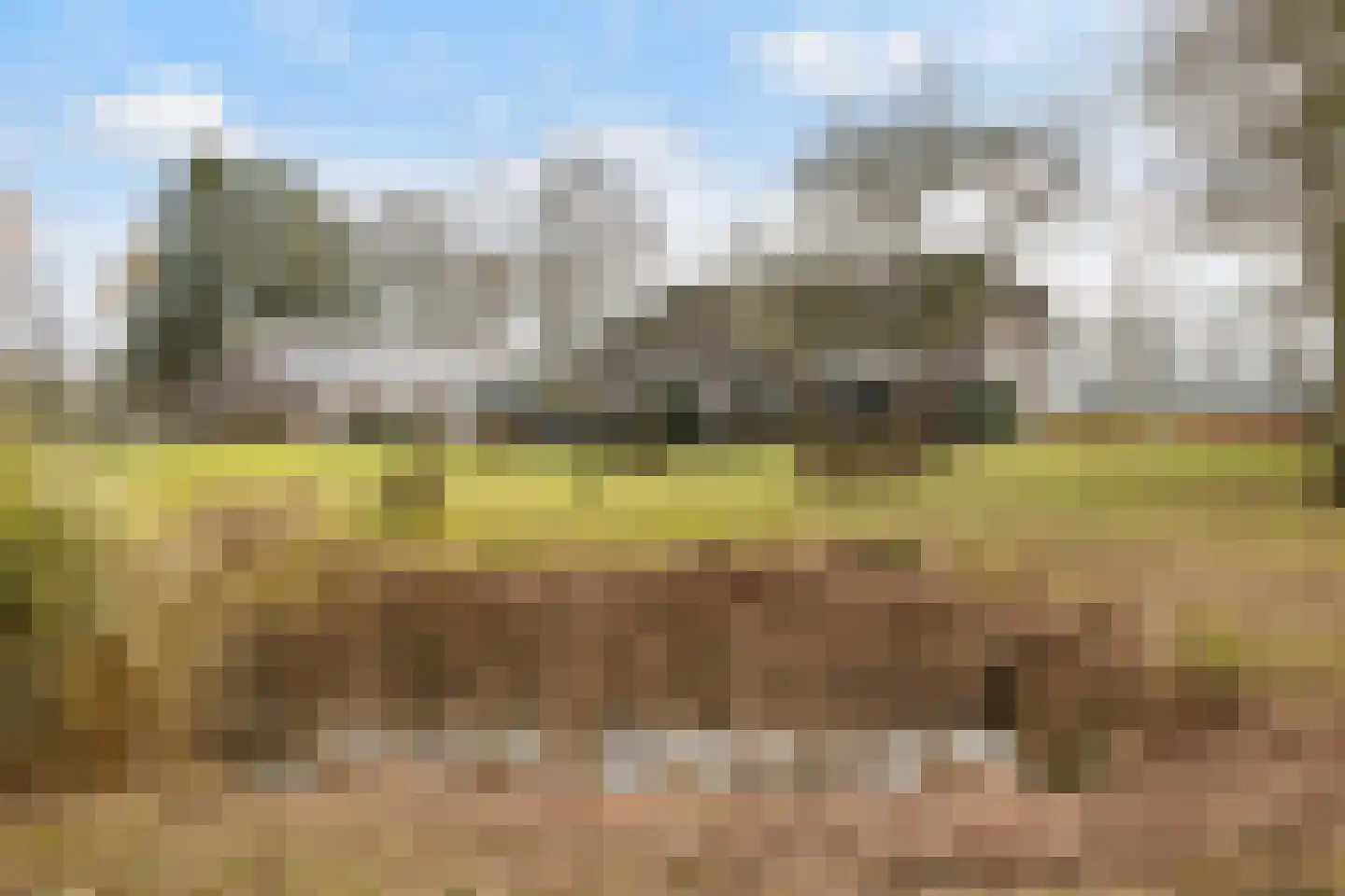 Voor de Blanken 8 Ruinen thumbnail 49