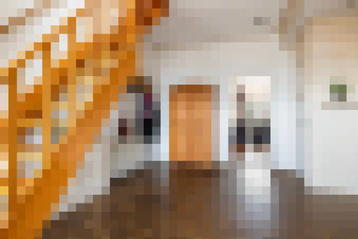 Voor de Blanken 8 Ruinen thumbnail 5