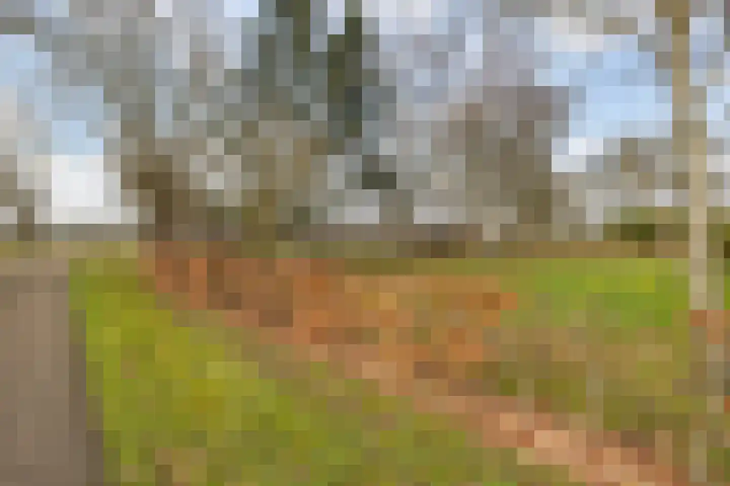 Voor de Blanken 8 Ruinen thumbnail 50