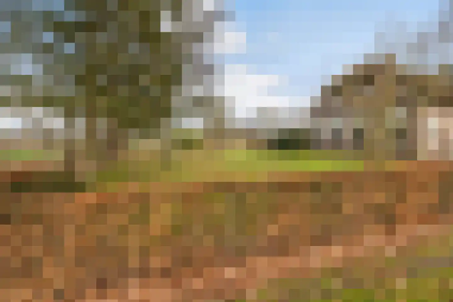 Voor de Blanken 8 Ruinen thumbnail 51