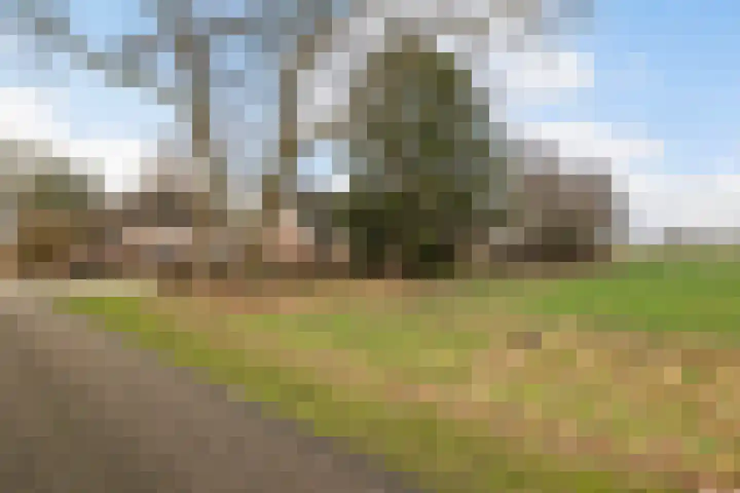 Voor de Blanken 8 Ruinen thumbnail 56