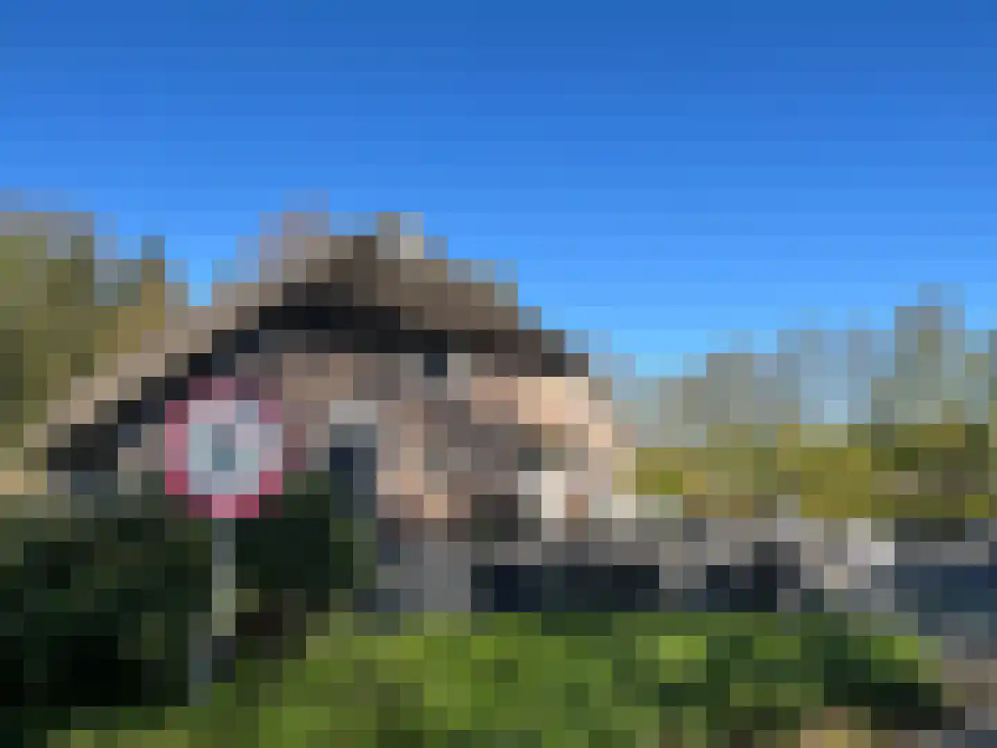 Voor de Blanken 8 Ruinen thumbnail 65