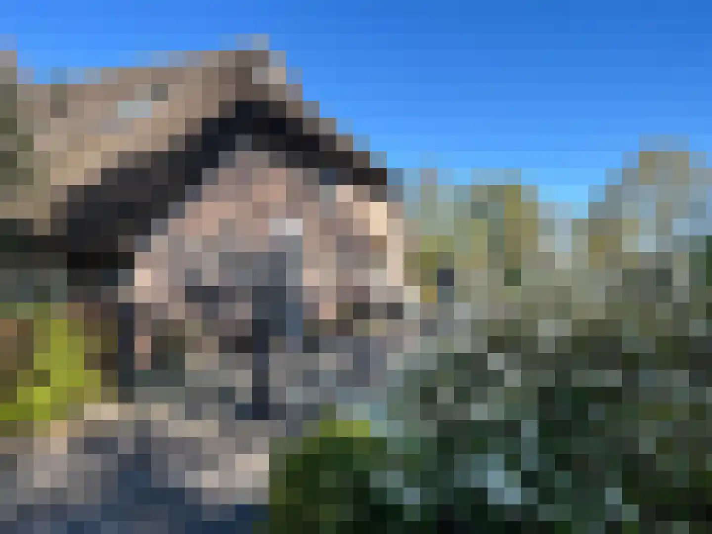 Voor de Blanken 8 Ruinen thumbnail 66