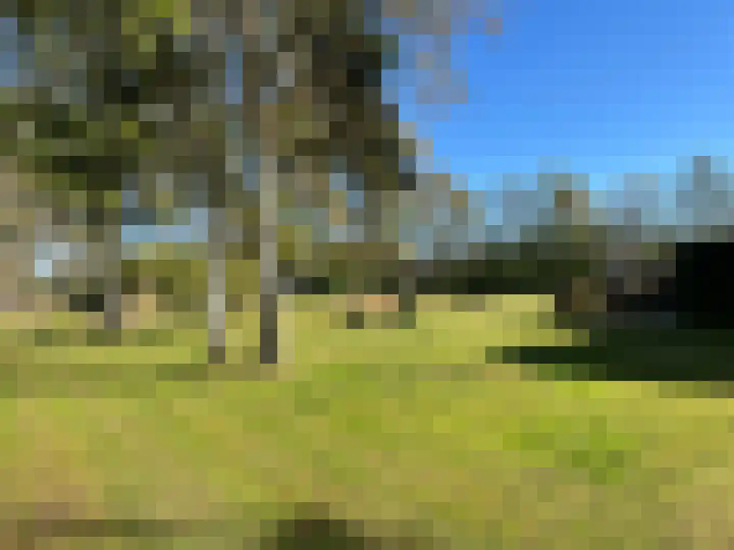 Voor de Blanken 8 Ruinen thumbnail 73