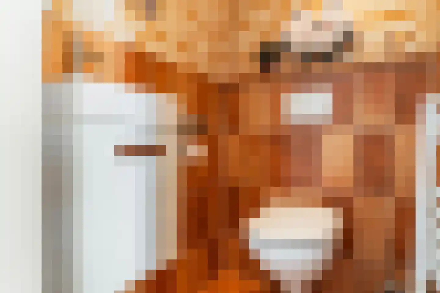 Voor de Blanken 8 Ruinen thumbnail 8