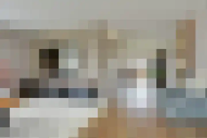 Voor de Boeg 16 Enkhuizen thumbnail 12