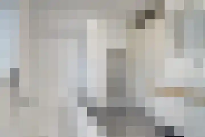 Voor de Boeg 16 Enkhuizen thumbnail 28