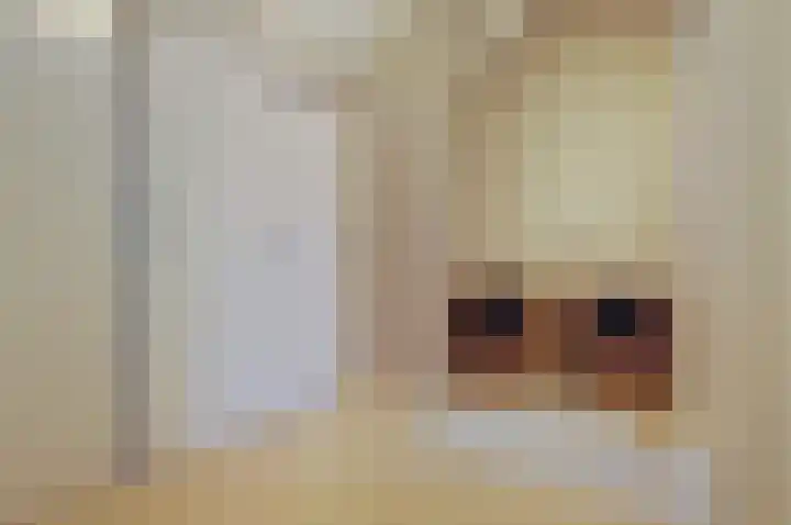 Voor de Boeg 16 Enkhuizen thumbnail 34