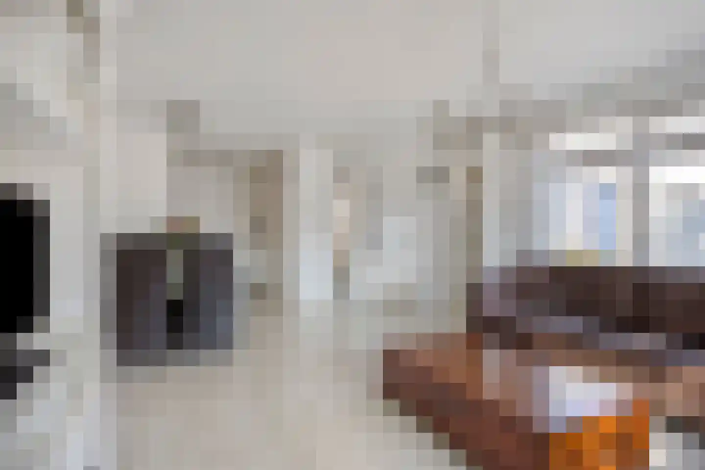 Voor de Boeg 26 Enkhuizen thumbnail 8