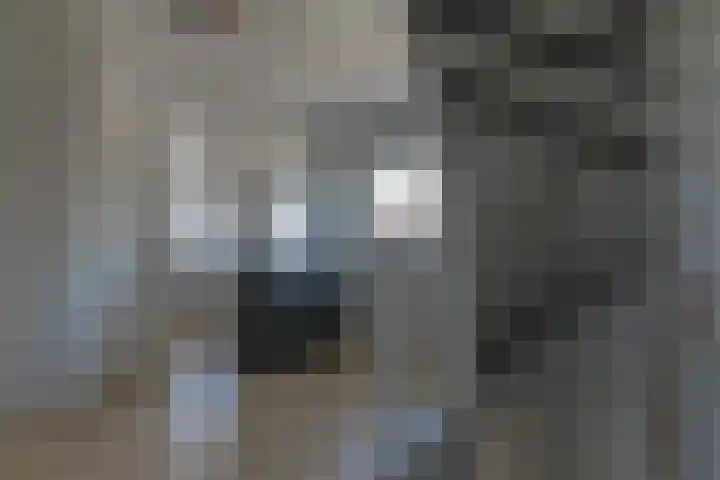 Voor de Boeg 8 Enkhuizen thumbnail 29