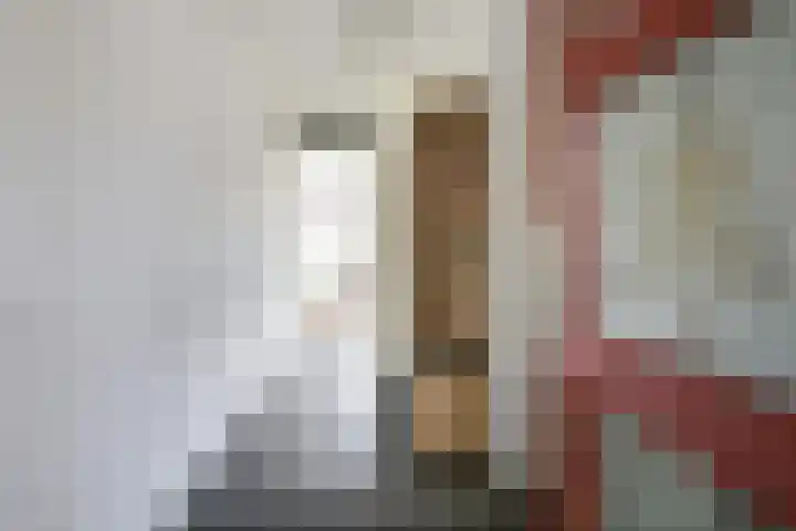 Voor de Burchten 126 Vleuten thumbnail 34
