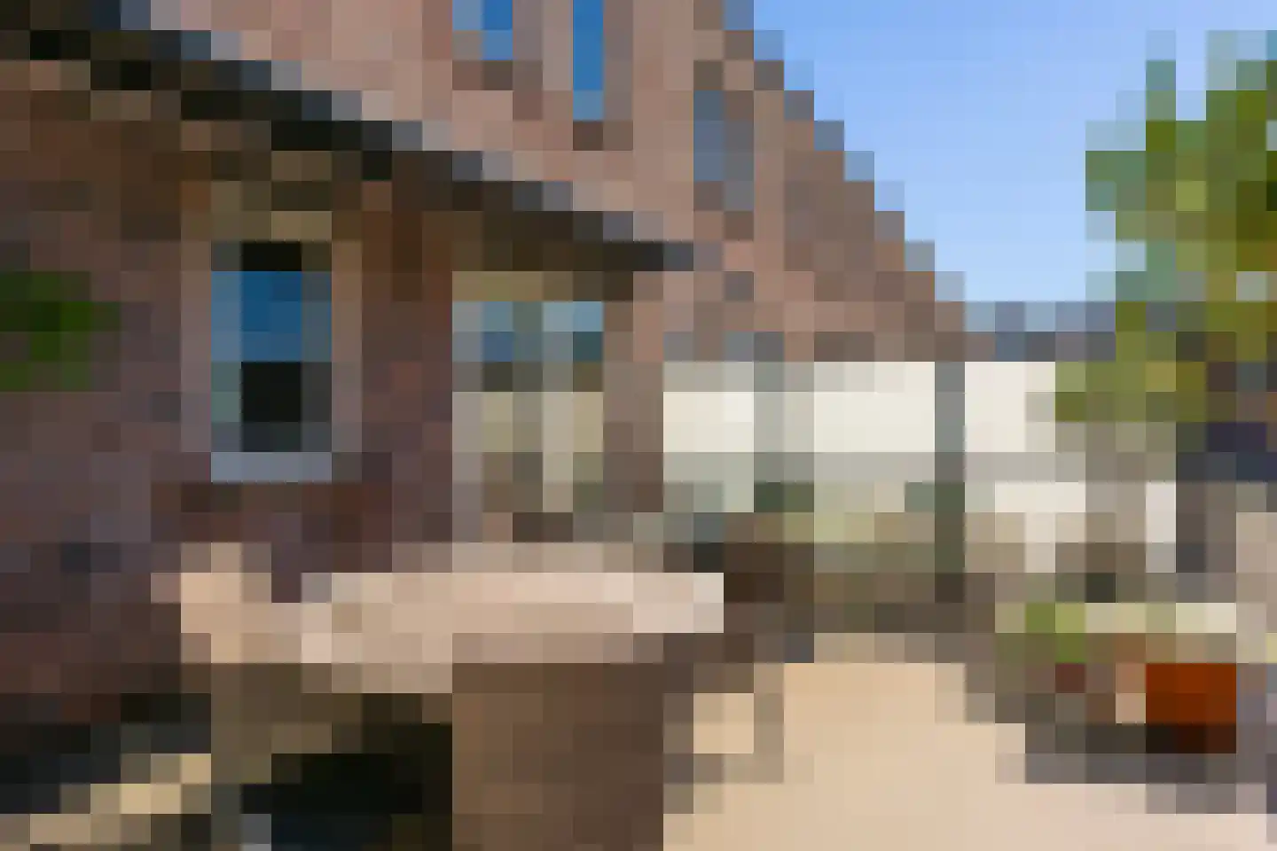 Voor de Burchten 140 Vleuten thumbnail 18