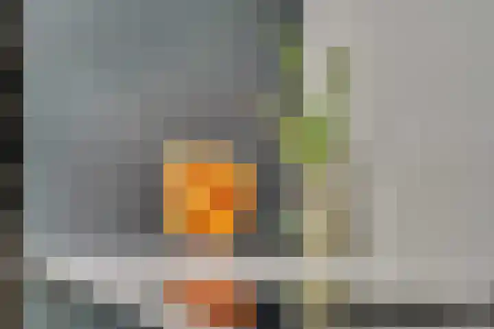Voor de Kijkuit 14 Tiel thumbnail 14