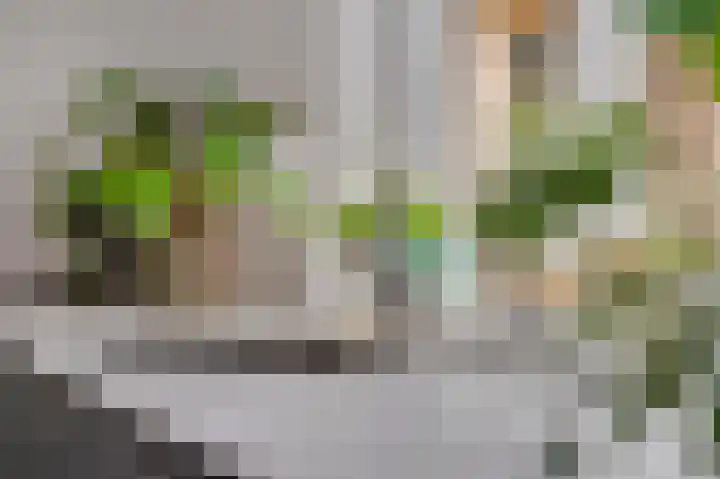 Voor de Kijkuit 14 Tiel thumbnail 16