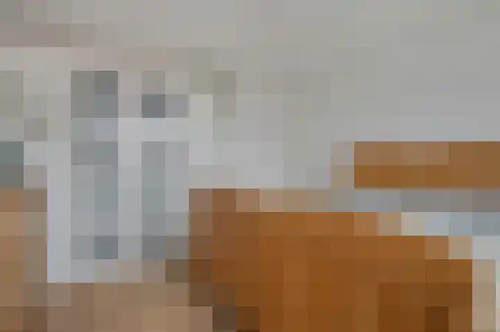 Voor de Kijkuit 14 Tiel thumbnail 22
