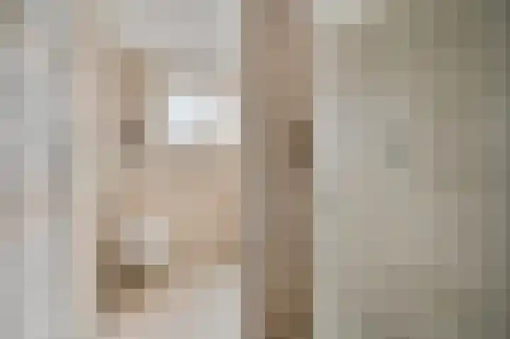 Voor de Kijkuit 14 Tiel thumbnail 23
