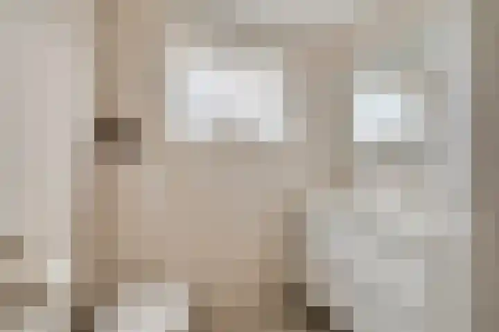 Voor de Kijkuit 14 Tiel thumbnail 24