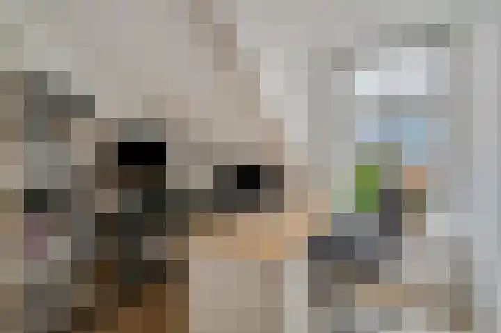 Voor de Kijkuit 14 Tiel thumbnail 28
