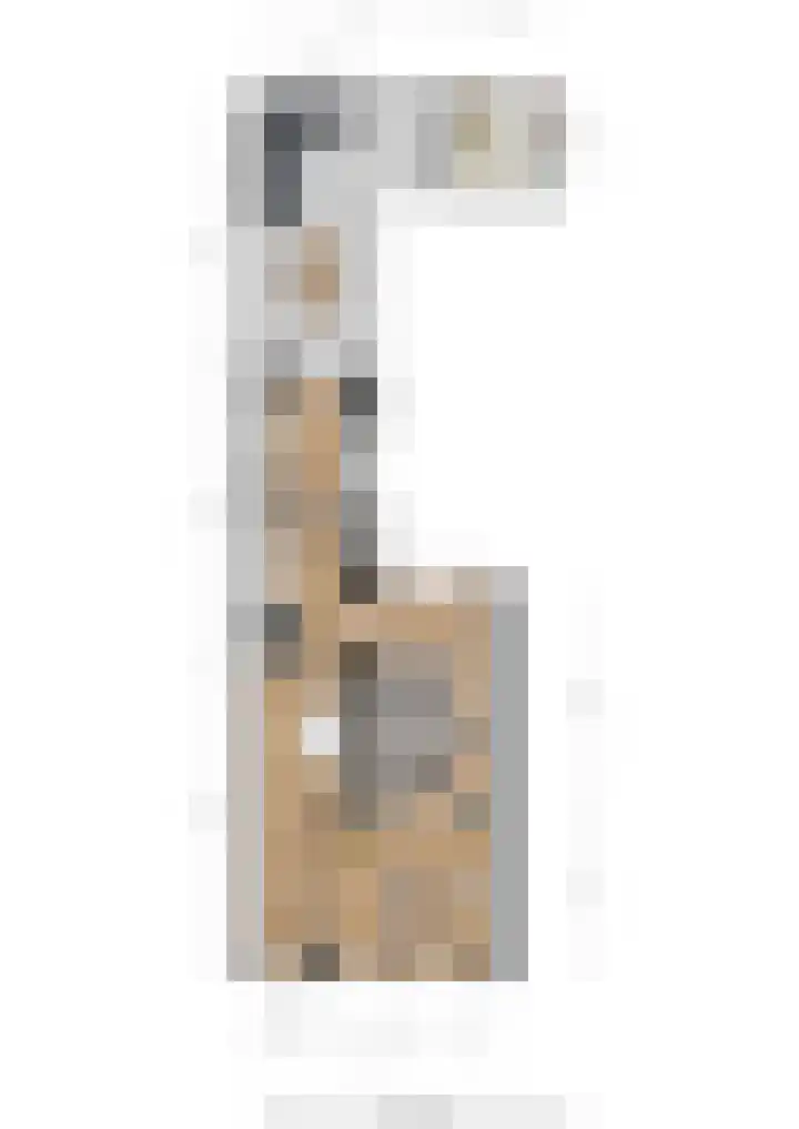 Voor de Kijkuit 14 Tiel thumbnail 30