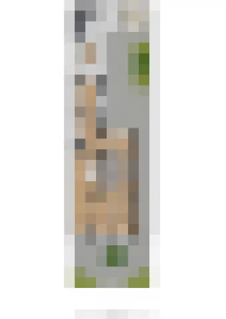 Voor de Kijkuit 14 Tiel thumbnail 32