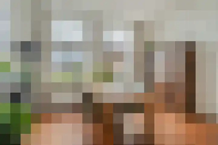 Voor de Kijkuit 14 Tiel thumbnail 6