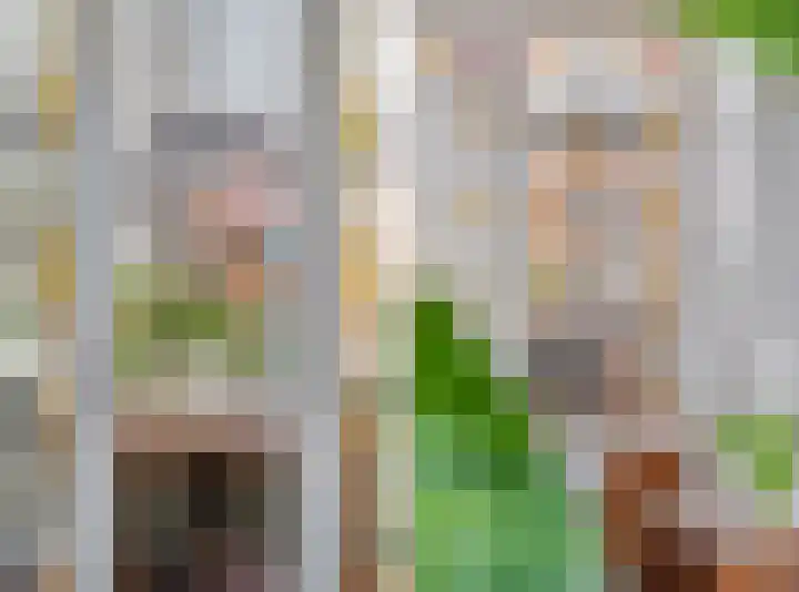 Voor de Kijkuit 14 Tiel thumbnail 9