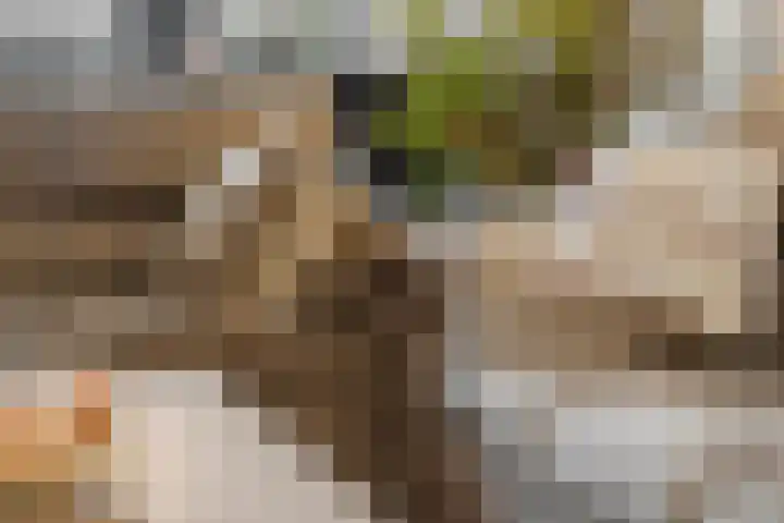 Voor de Kijkuit 40 Tiel thumbnail 11