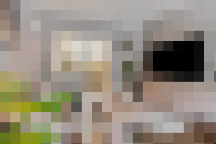 Voor de Kijkuit 40 Tiel thumbnail 12