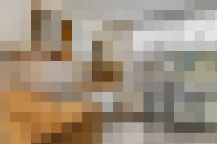 Voor de Kijkuit 40 Tiel thumbnail 13