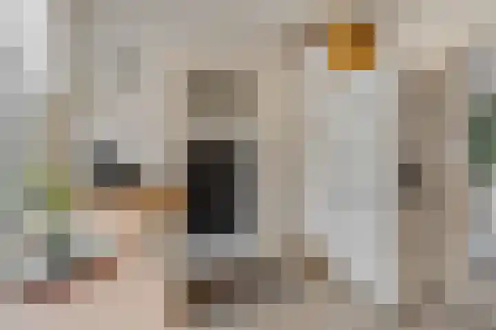 Voor de Kijkuit 40 Tiel thumbnail 17