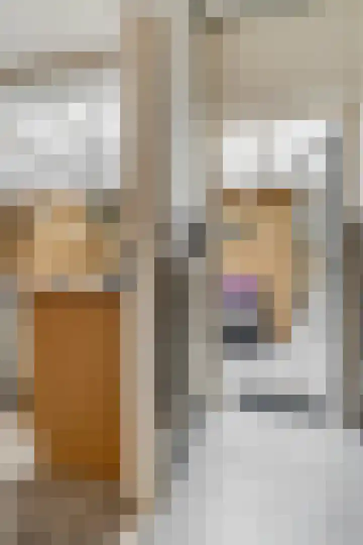 Voor de Kijkuit 40 Tiel thumbnail 18