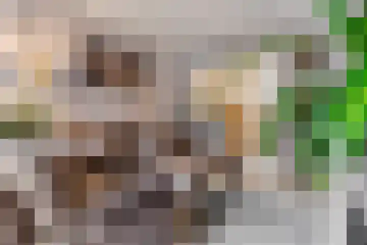 Voor de Kijkuit 40 Tiel foto 2