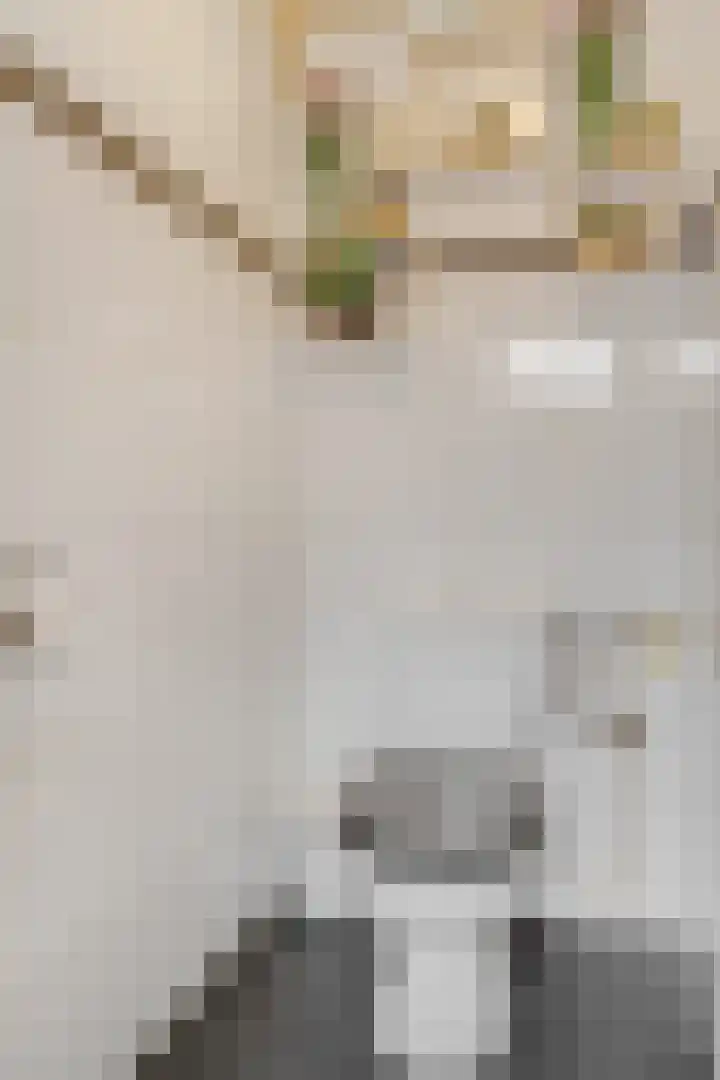 Voor de Kijkuit 40 Tiel thumbnail 21
