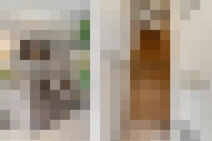 Voor de Kijkuit 40 Tiel thumbnail 22