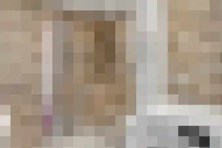 Voor de Kijkuit 40 Tiel thumbnail 28
