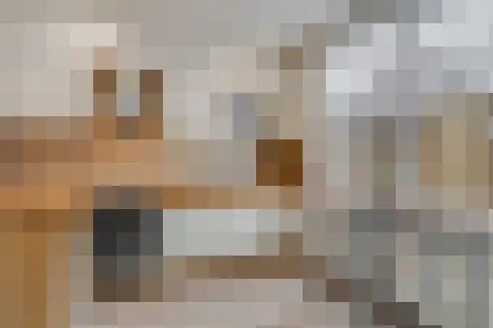 Voor de Kijkuit 40 Tiel foto 3