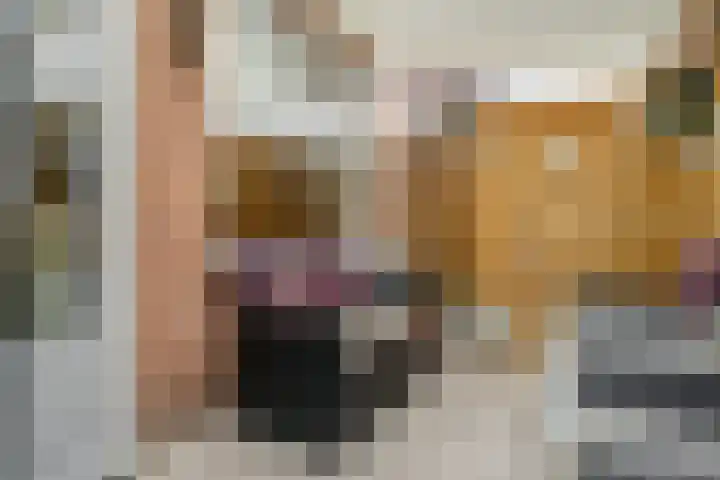 Voor de Kijkuit 40 Tiel thumbnail 5