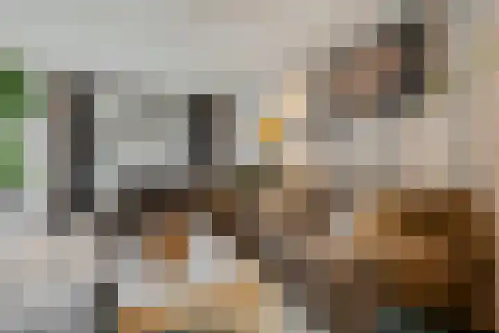 Voor de Kijkuit 40 Tiel thumbnail 8