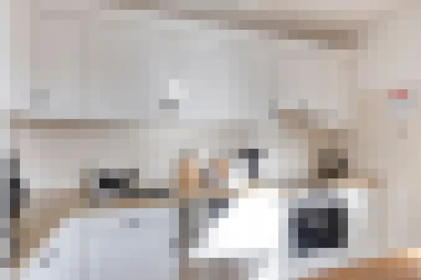Voor de Poort 21 Amstelveen thumbnail 7