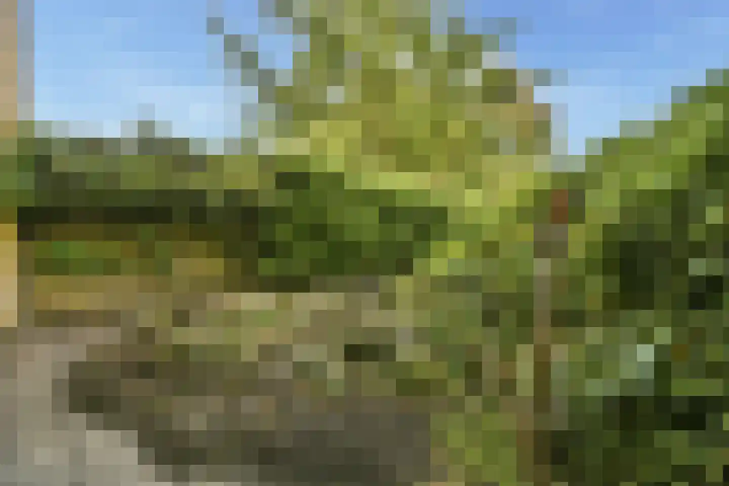 Voor de Poort 6 Amstelveen thumbnail 11