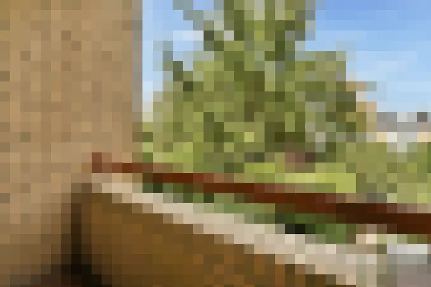 Voor de Poort 6 Amstelveen thumbnail 20