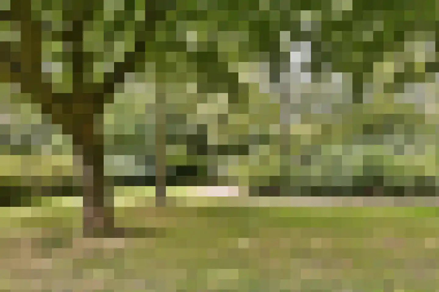 Voor de Poort 6 Amstelveen thumbnail 36