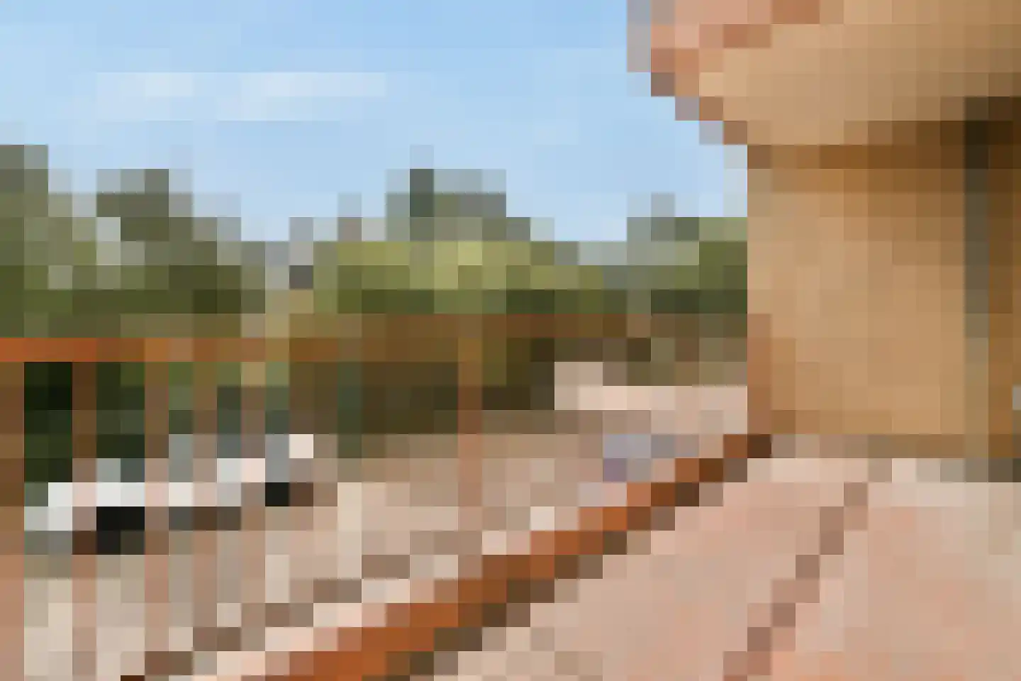 Voor de Poort 6 Amstelveen thumbnail 5